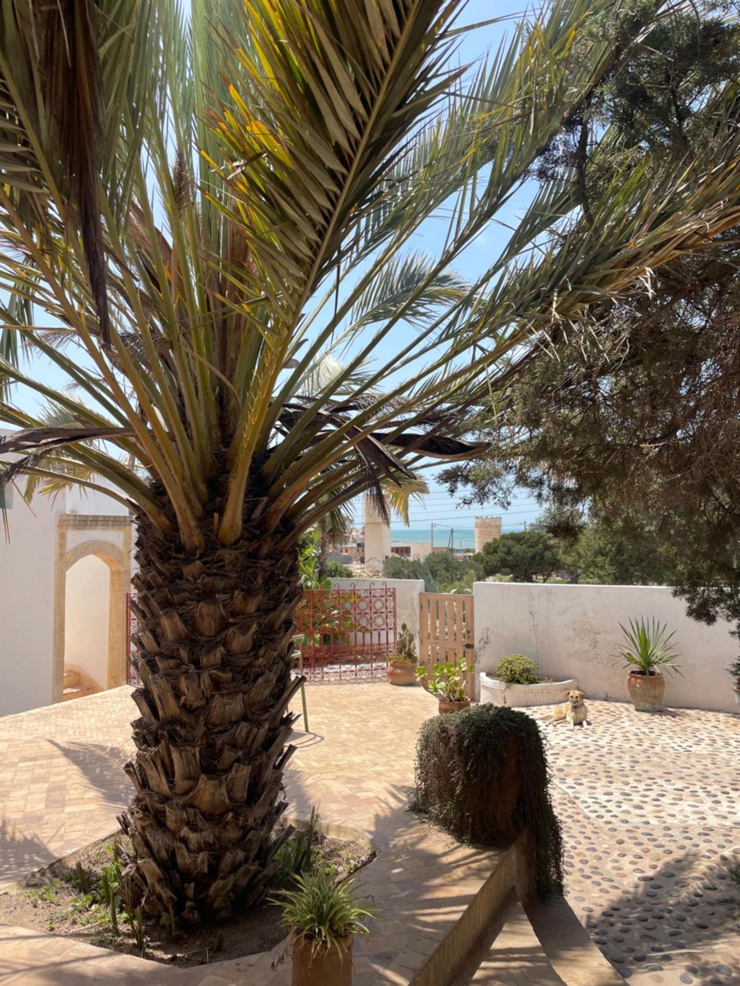 Hotel Villa Soleil Sidi Kaouki Luaran gambar