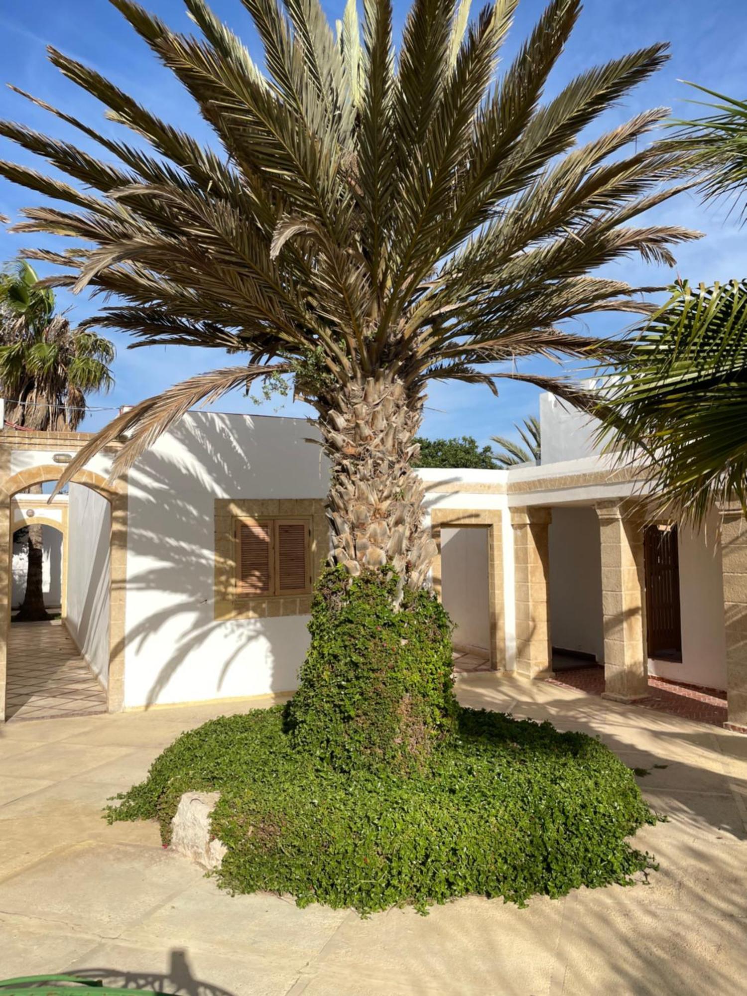 Hotel Villa Soleil Sidi Kaouki Luaran gambar